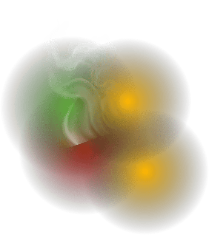 Glads makaronai su vištienos skonio ir «Salsa» padažu