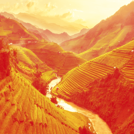 Glads WOK makaronai su «Mіe Goreng» skonio padažu