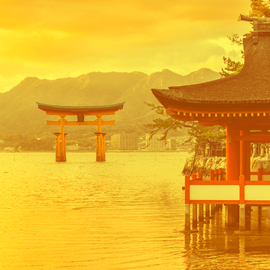 Glads WOK makaronai su «Chicken&nbsp;teriyaki» padažu